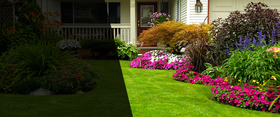 Starbuck Landscapers