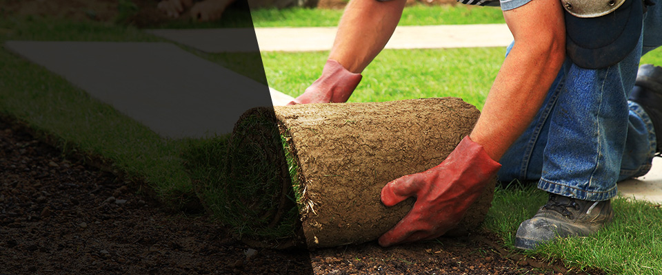 Starbuck Landscapers
